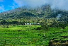 Gunung Dempo Dipadati Ratusan Pendaki Saat Momen Lebaran 2026