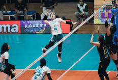 Kalahkan Popsivo Polwan 3-0, Jakarta Electric PLN Mobile Tutup Putaran Pertama Proliga 2026 dengan Meyakinkan