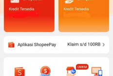Cara Mengajukan Kenaikan Limit SPinjam untuk Penjual di Aplikasi Shoppe dan Tips Agar Kenaikan Limit Disetujui